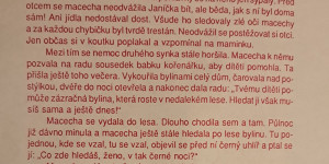 Škola v přírodě s Lipkou - Ostrov u Macochy 2024 - 1732366485_Ostrov u Macochy 2024 - ŠvPř s Lipkou (13).jpg